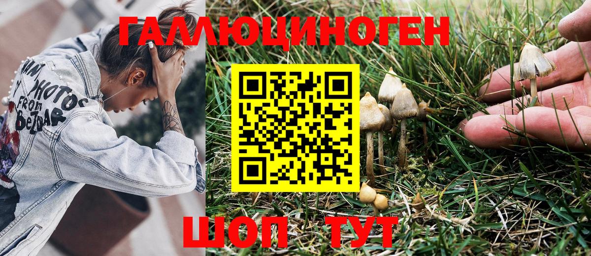 Светлоград  Галлюциногенные грибы Cubensis  Вход с VPN  Псилоцибиновые грибы MAGIC MUSHROOMS 