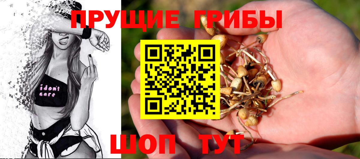 Галлюциногенные грибы мицелий Светлоград