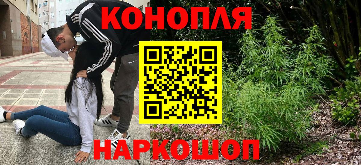 Шишки марихуана семена  Вход с VPN  Конопля план  Шишки марихуана THC 21%  Светлоград 